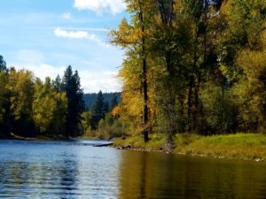 Montana fly fishing guide west of the continental divide